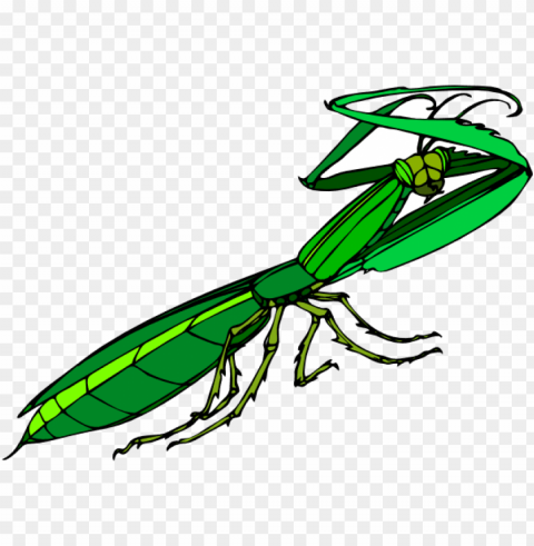 how to set use cartoon praying mantis icon PNG file with no watermark