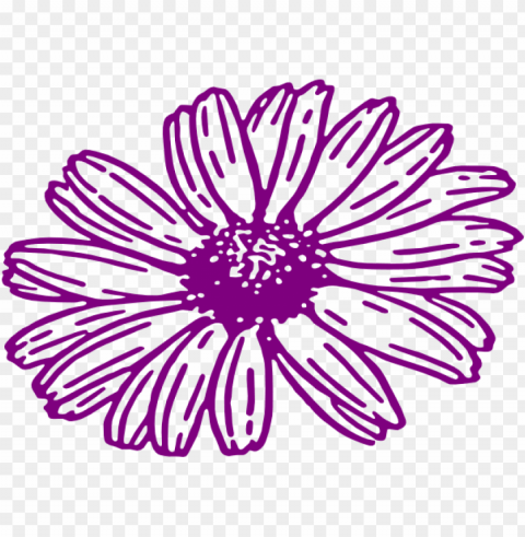 how to set use daisy svg vector PNG images free download transparent background