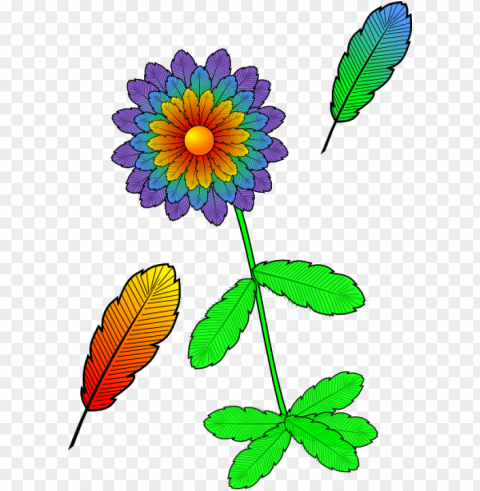 how to set use flower with feathers clipart PNG with no background for free