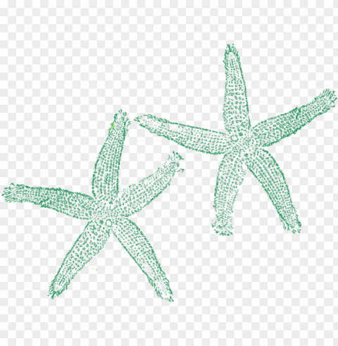 how to set use green starfish icon - private listing for tami 1 pair custom bridal fli Transparent background PNG stock