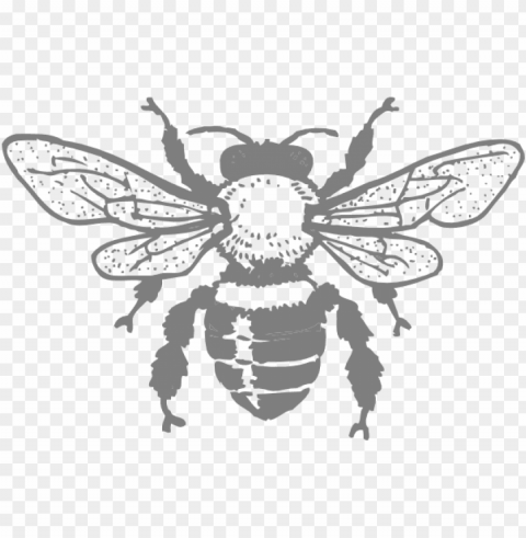 how to set use grey bee svg vector - honey bee rectangle sticker Clear Background PNG Isolated Design