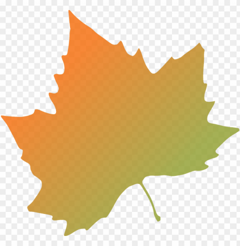 how to set use plane tree autumn leaf svg vector Transparent PNG illustrations