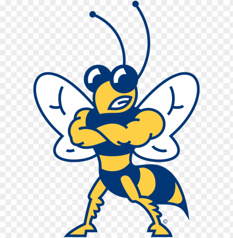 howard payne - howard payne university yellow jackets PNG with Transparency and Isolation