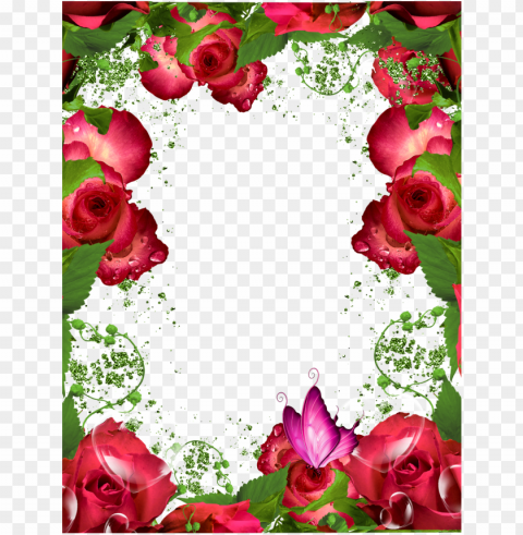 hq photo frames - transparent flower frame hd PNG for educational use