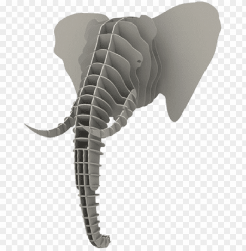 3D Elephant Head Isolated Item on Clear Background PNG