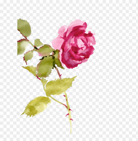 http jaehos tumblr com post texture pack - watecolor flowers PNG icons with transparency PNG transparent with Clear Background ID 65857d03