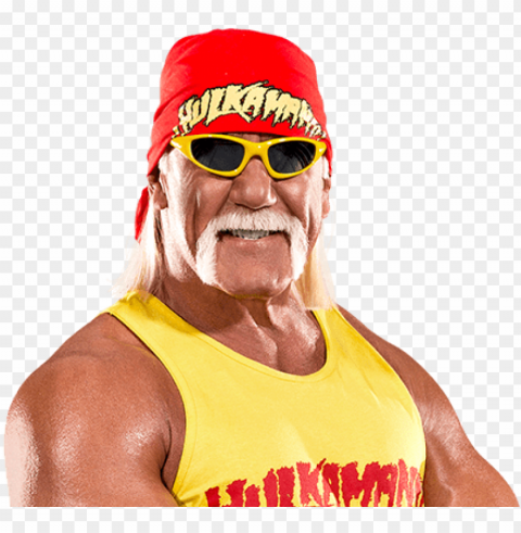hulk hoga PNG picture PNG transparent with Clear Background ID 3cdaf606