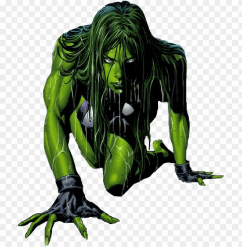 hulk - she hulk marvel Isolated Artwork on HighQuality Transparent PNG