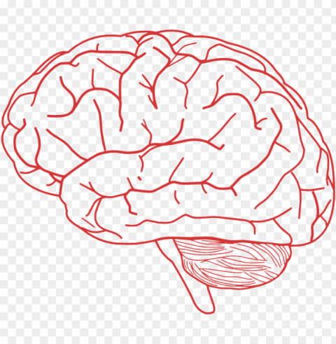 human brain clipart - brain clipart transparent Clear Background PNG Isolated Subject