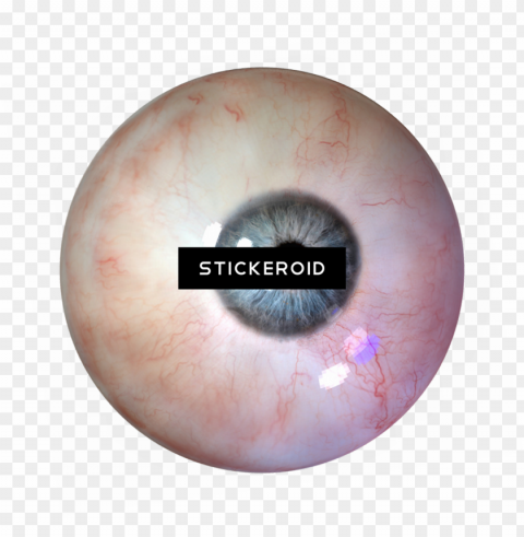 human eye - circle PNG files with no background free PNG transparent with Clear Background ID 783db3df