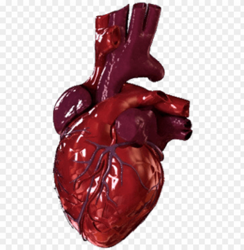 human heart - bloody human heart Isolated Icon with Clear Background PNG PNG transparent with Clear Background ID b282c0fd