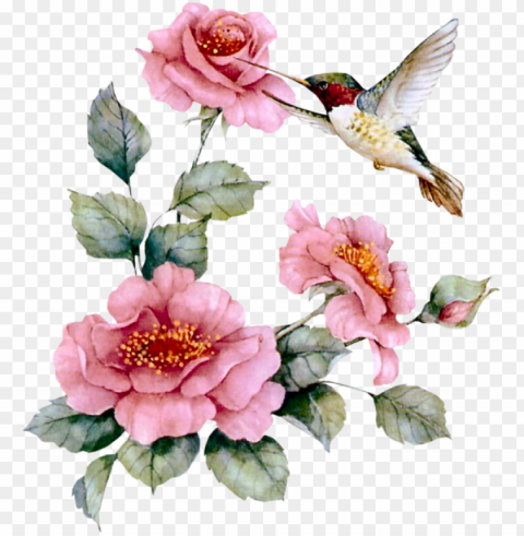 hummingbird with pink roses necklace bird gifts PNG Image with Transparent Background Isolation