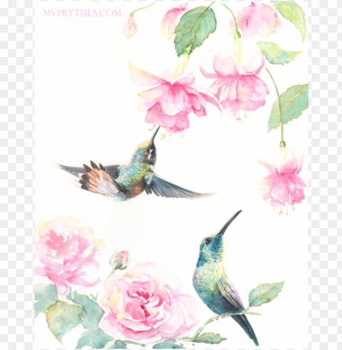 hummingbirds limited edition - ruby-throated hummingbird PNG transparent photos for presentations