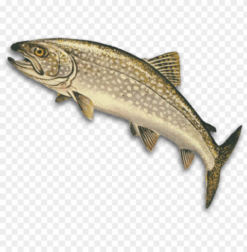 hunting and fishing in manitoba - lake trout in michiga PNG images with alpha transparency free PNG transparent with Clear Background ID 897175e5