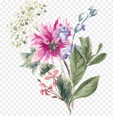 hydrangea flower stock illustration illustration - spring flowers paint PNG with no background required