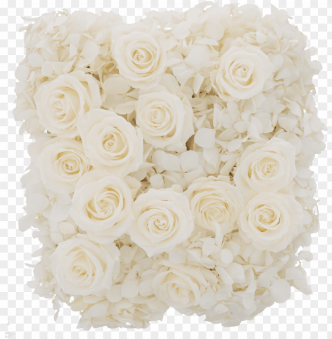 hydrangea rose box - garden roses Clean Background Isolated PNG Graphic