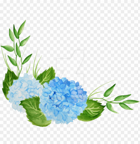 hydrangea with italian crocus - watercolor hydrangea PNG Graphic Isolated on Clear Backdrop