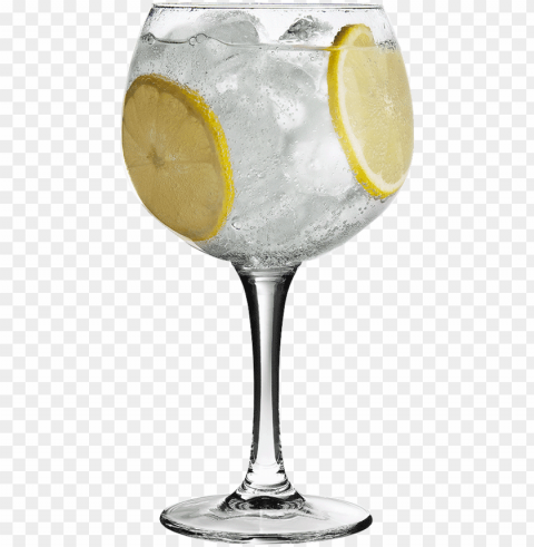 i don't know about you but other than knowing that - orange gin & tonic PNG images with clear backgrounds