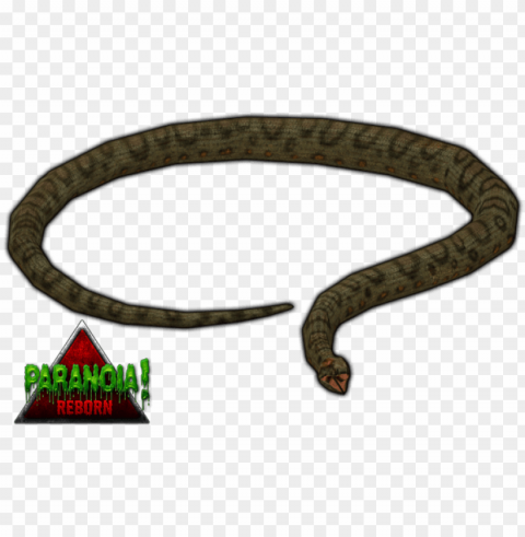 iant anaconda paranoia by budhiindra-d63aaz2 - zoo tycoon 2 green anaconda PNG picture