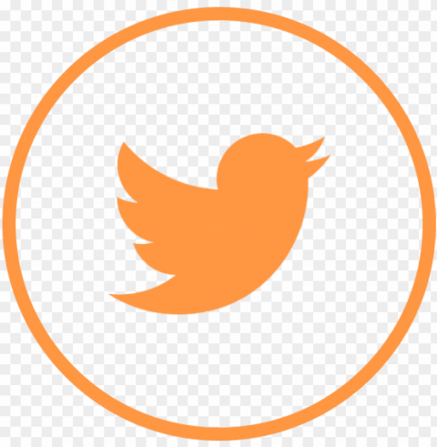 icono twitter ir a twitter - 12k followers on twitter Isolated Object with Transparent Background PNG