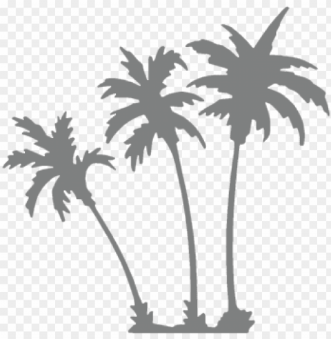 icons palm trees grey - grey palm tree HighQuality Transparent PNG Isolated Object