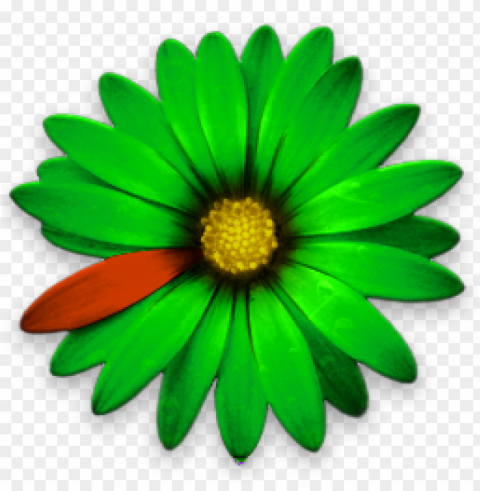 icq logo download Transparent picture PNG