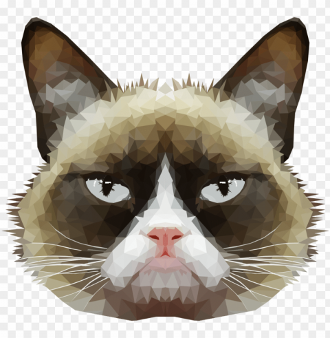 ics for tumblr grumpy cat - grumpy cat background Transparent PNG illustrations