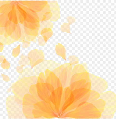 icture library library computer wallpaper orange flower PNG with no bg PNG transparent with Clear Background ID 3d8a3d16