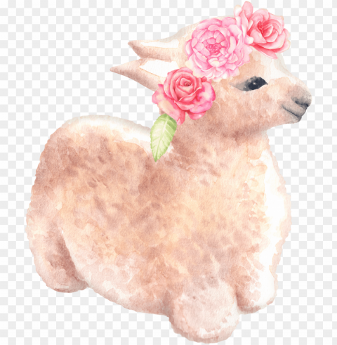 icture llama graphics baby alpaca original handmade - watercolor painti PNG for personal use