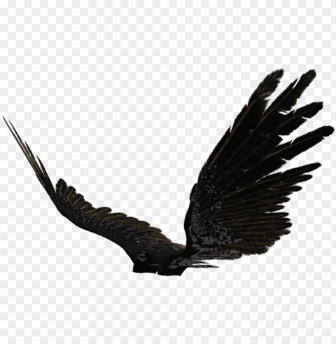 icture of dark angel wings allofpicts - black angel wings side view Clear background PNG clip arts