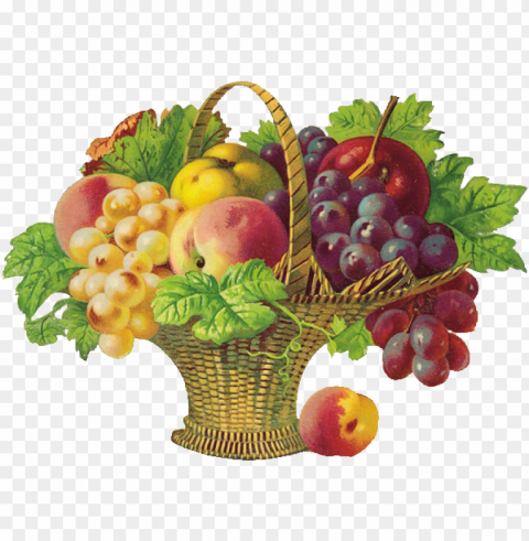 icture transparent stock basket of d coupage fruits - get well soon fruits PNG images with high-quality resolution
