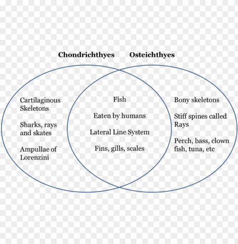 icture - venn diagram of chondrichthyes and osteichthyes Transparent background PNG images complete pack