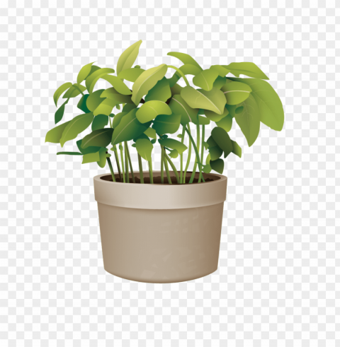 ictures of potted plants best of flowerpot plant vector - potted plant Transparent Background PNG Isolated Art PNG transparent with Clear Background ID dabdb66b