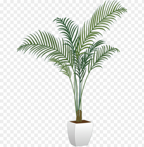 ictures of potted plants new arecaceae flowerpot houseplant - transparent potted plants PNG with clear background set