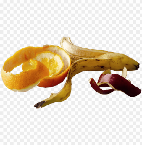 iel de frutas - fruit peels Transparent PNG Graphic with Isolated Object