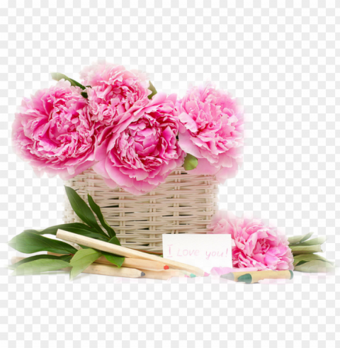 ifs de flores com fundos transparentes flores png - beautiful pink flower basket Isolated Artwork on Transparent Background