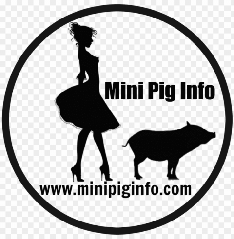 ift ideas for the pig or pig lover in your life - toproyalty1 ow-g7 kitchen digital thermometer - auto PNG images with alpha background