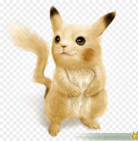 ikachu - realistic pokemo PNG art PNG transparent with Clear Background ID 6be9b34a