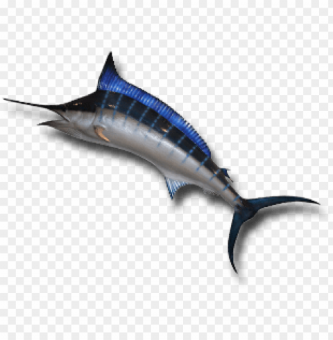 ikan png Transparent image