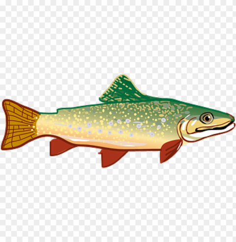 ikan png Transparent pics