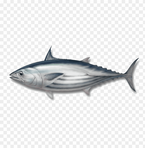 ikan Transparent PNG art PNG transparent with Clear Background ID 9211e5e4