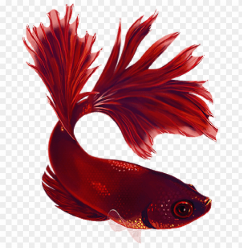 ikan Transparent PNG download