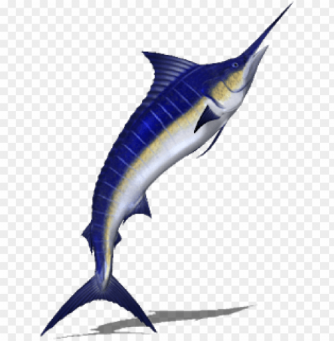 ikan Transparent PNG graphics bulk assortment