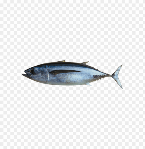 ikan Transparent PNG illustrations PNG transparent with Clear Background ID 6822dbaa