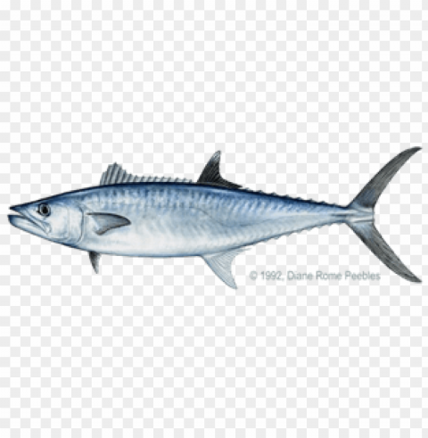 ikan Transparent PNG image PNG transparent with Clear Background ID 2e1f878b