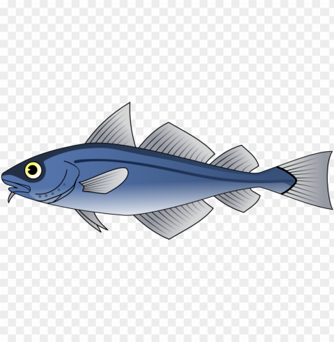 ikan Transparent PNG image free