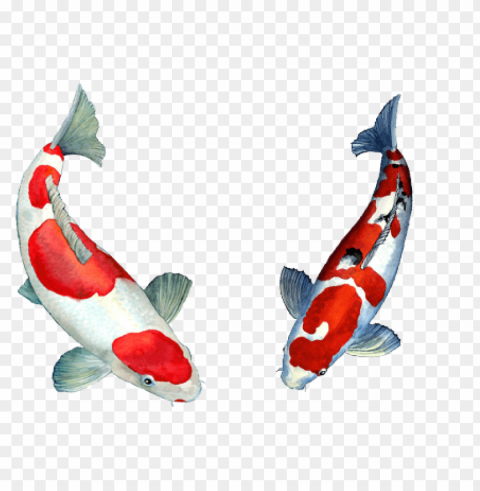 ikan Transparent PNG images collection