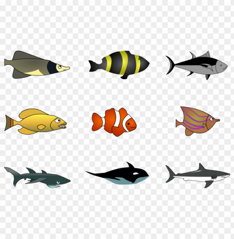 ikan PNG images for merchandise PNG transparent with Clear Background ID 904a6aeb