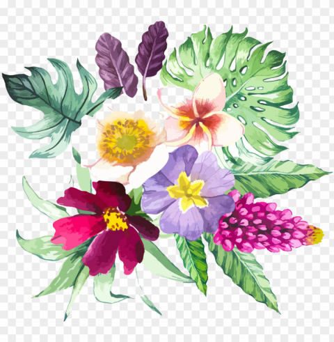 illustration beautiful floral - watercolor tropical flower bouquet Free download PNG with alpha channel extensive images