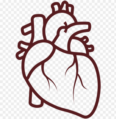 illustration of a heart - coronary artery disease ico PNG images with transparent backdrop